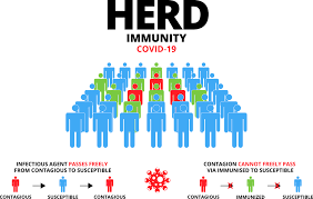 What does it mean by Herd Immunity from COVID-19 | Narayana Health